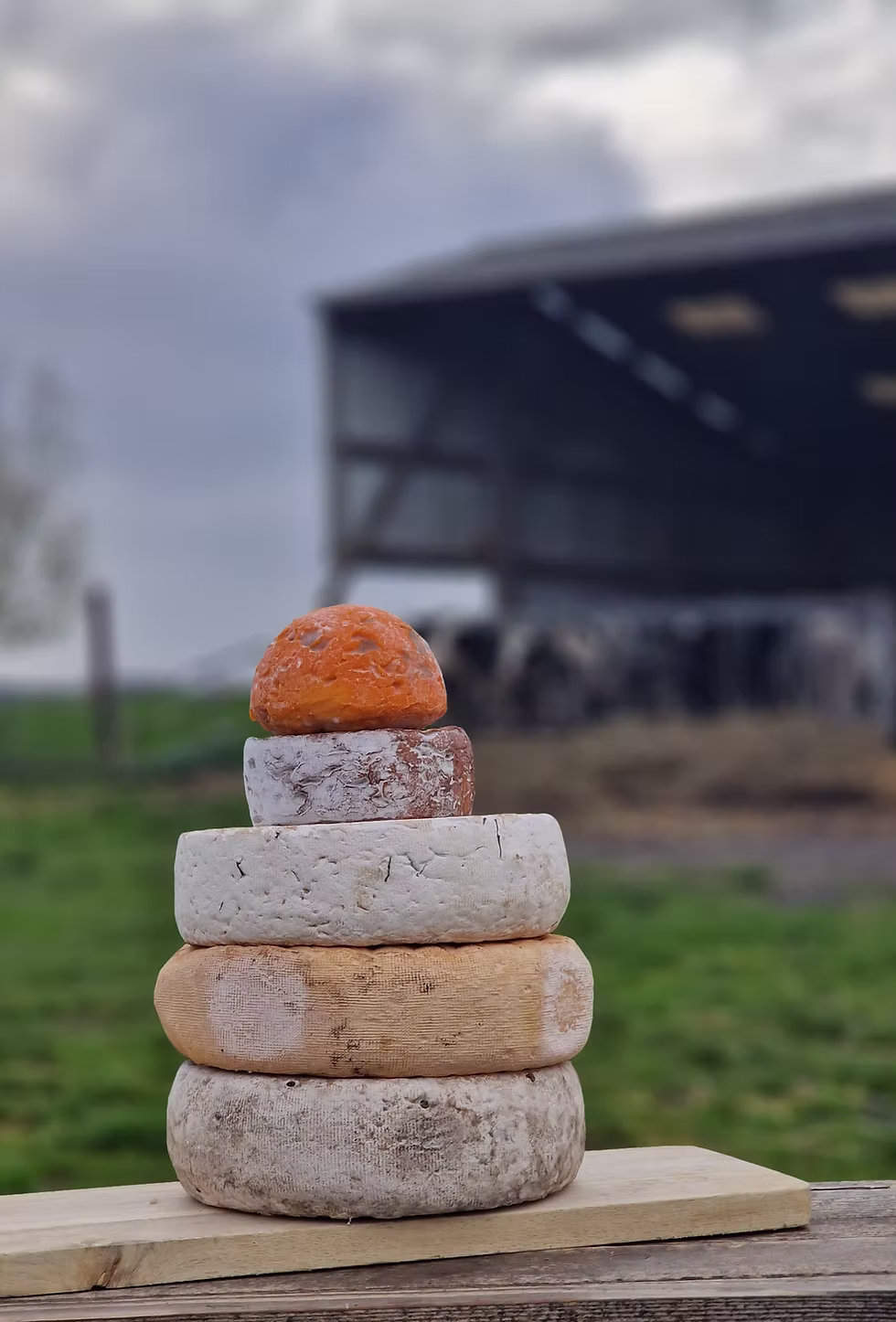 fromage-fermeduvinage-04