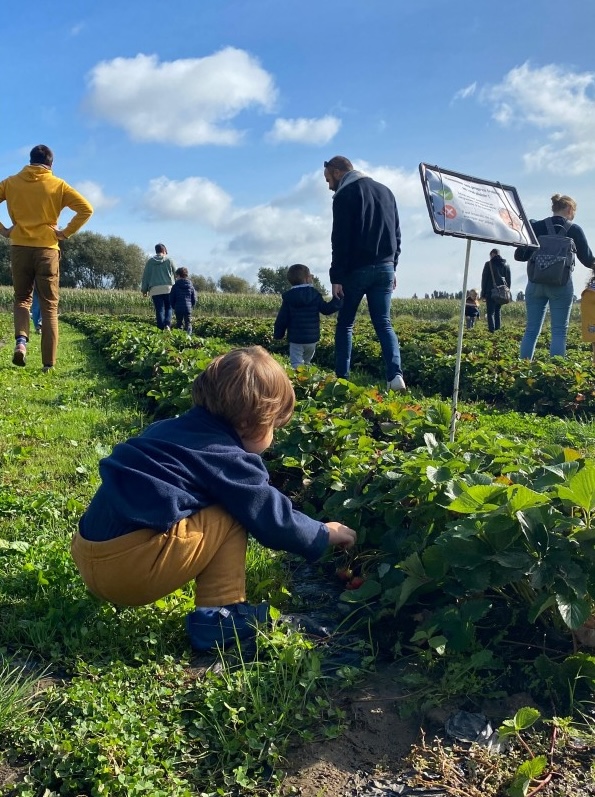 visite-guidee-de-la-ferme